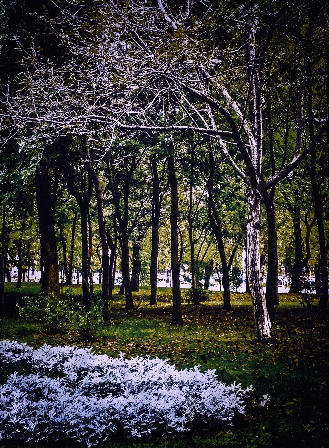 putrid space © Alexandra Crisbășan