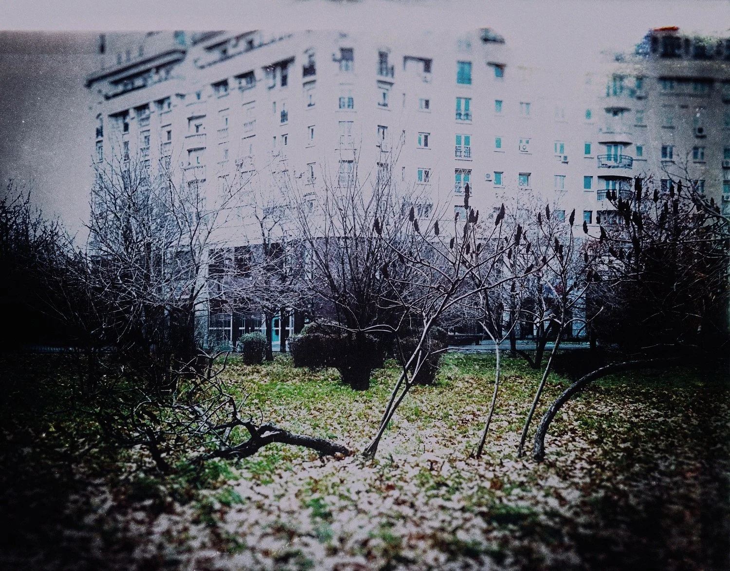 BUCHAREST-2016 (24)_WEB.jpg