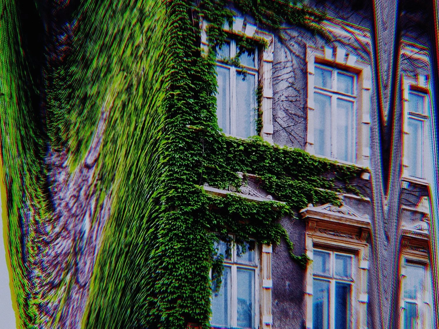 2-BUCHAREST-2017 (59)_WEB.jpg