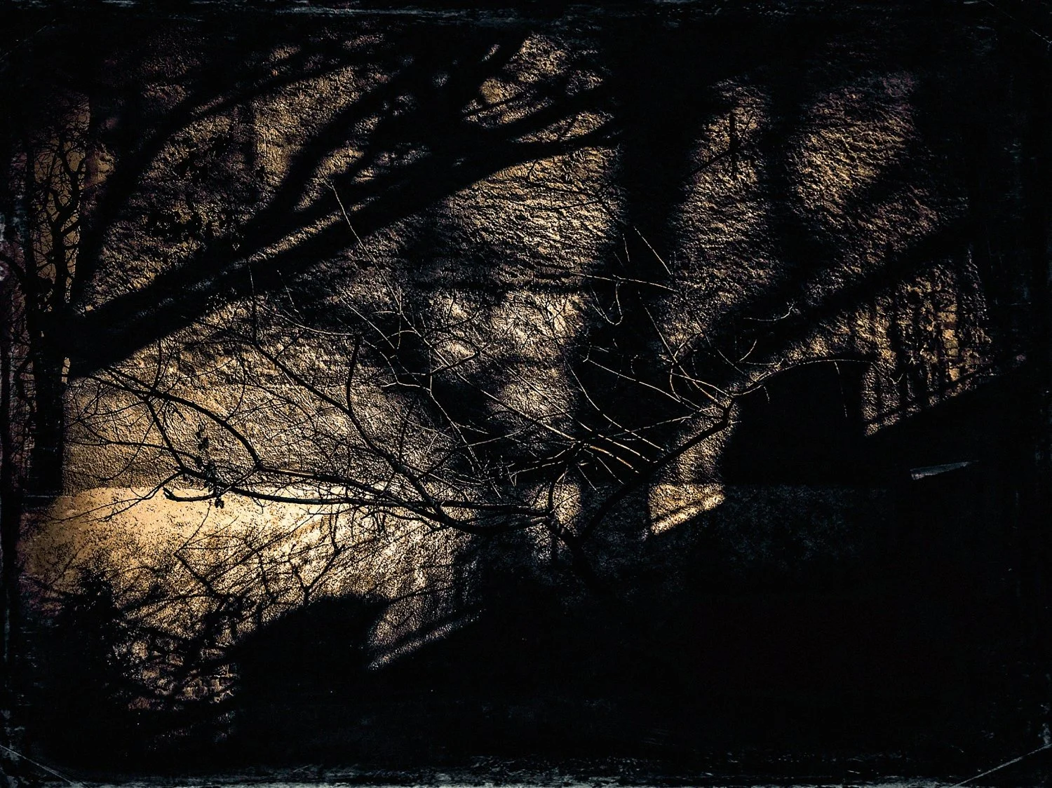putrid space © Alexandra Crisbășan