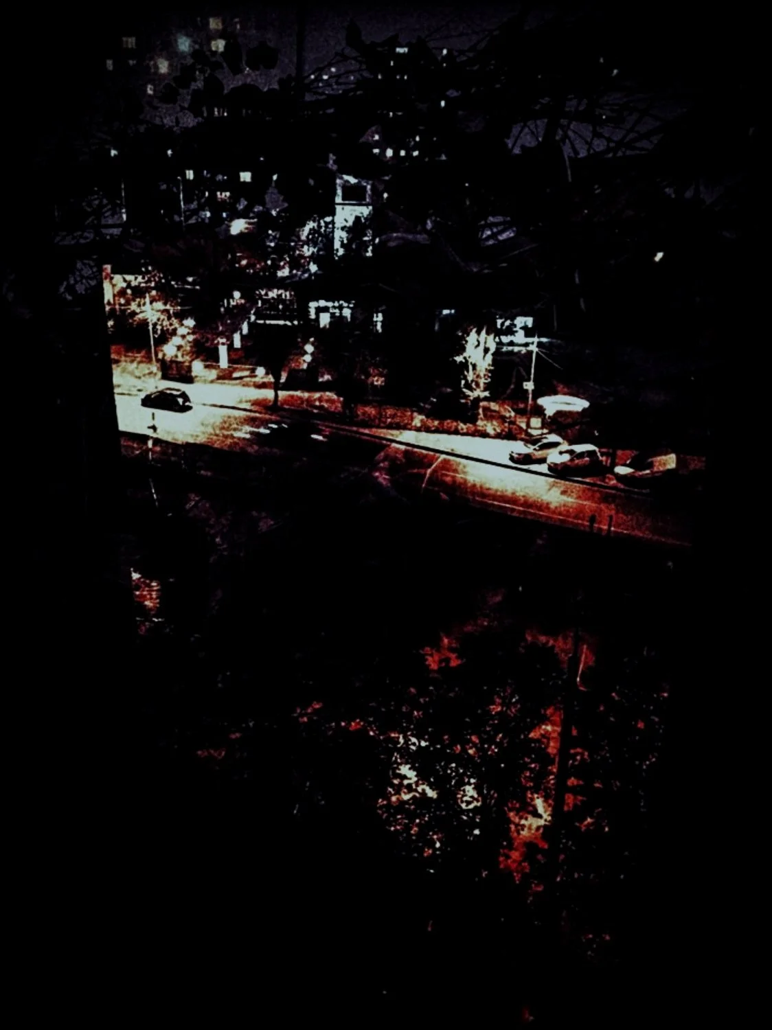 putrid space © Alexandra Crisbășan