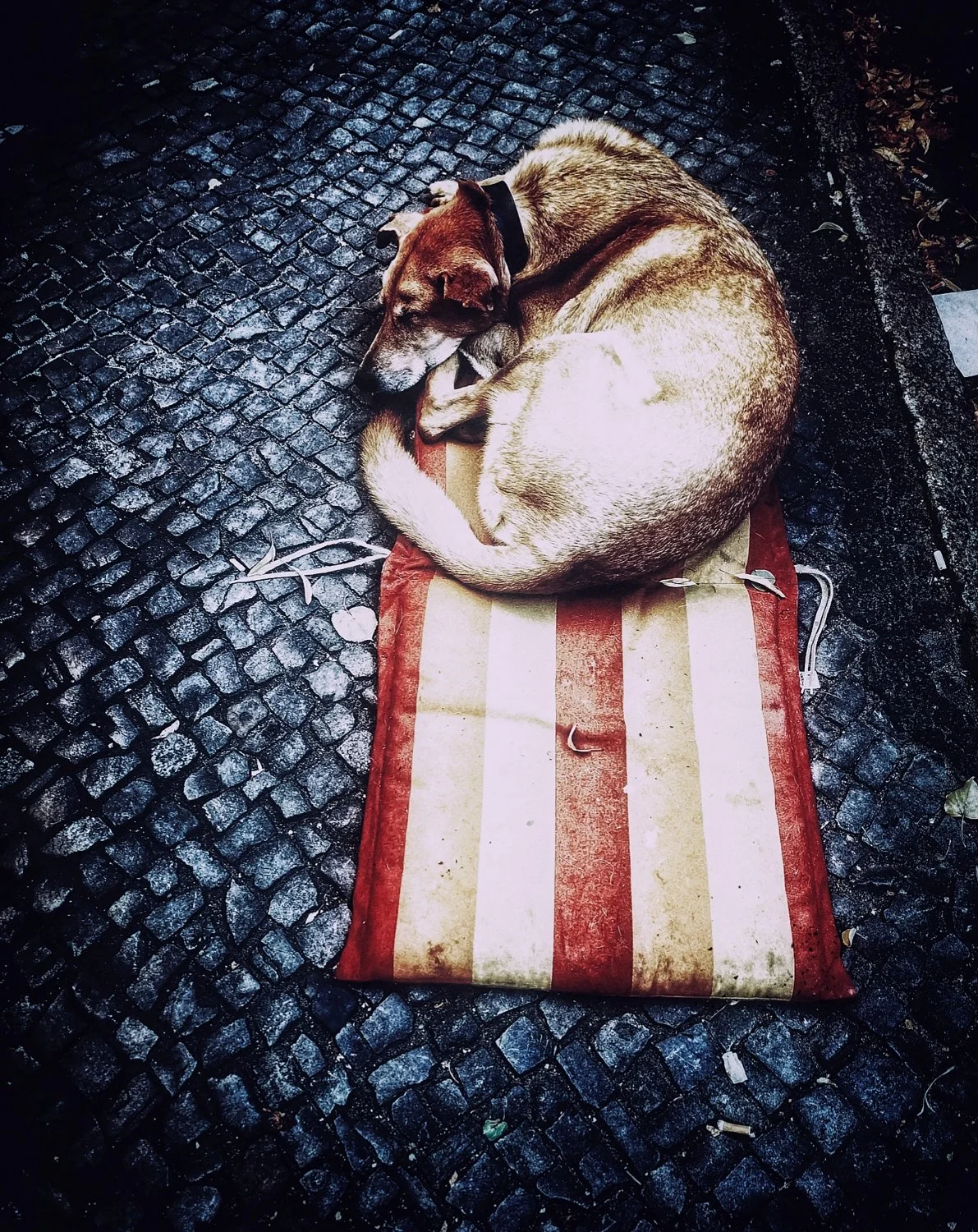 II-BERLIN (20)_WEB.jpg