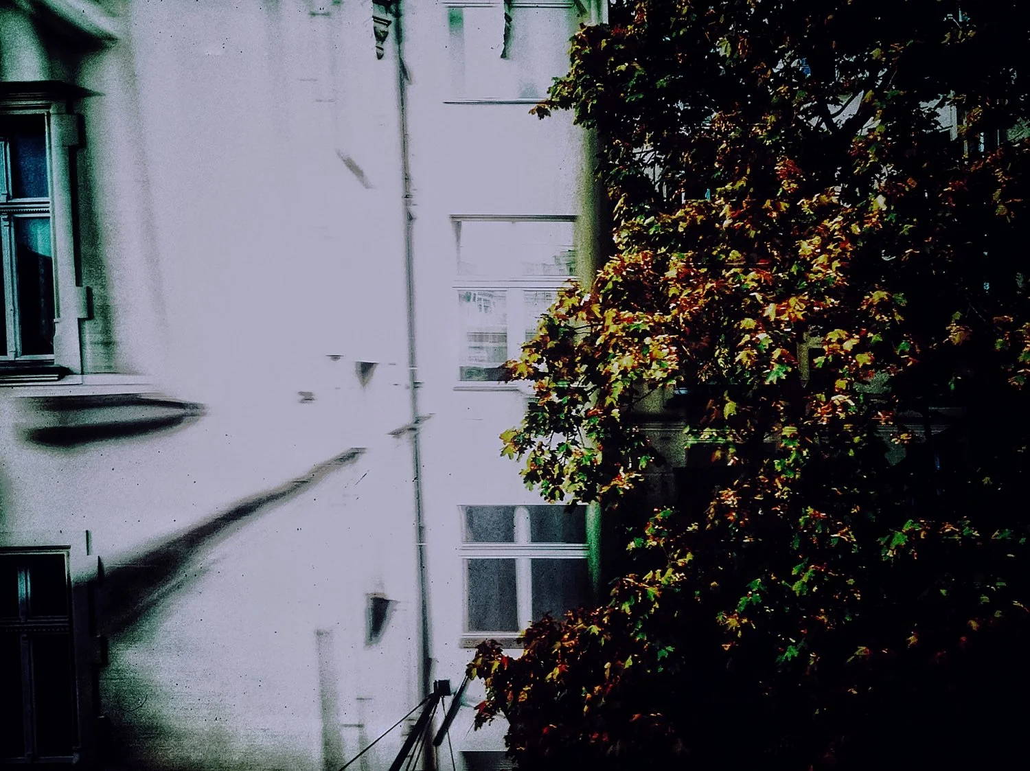 I-BERLIN (9)_WEB.jpg