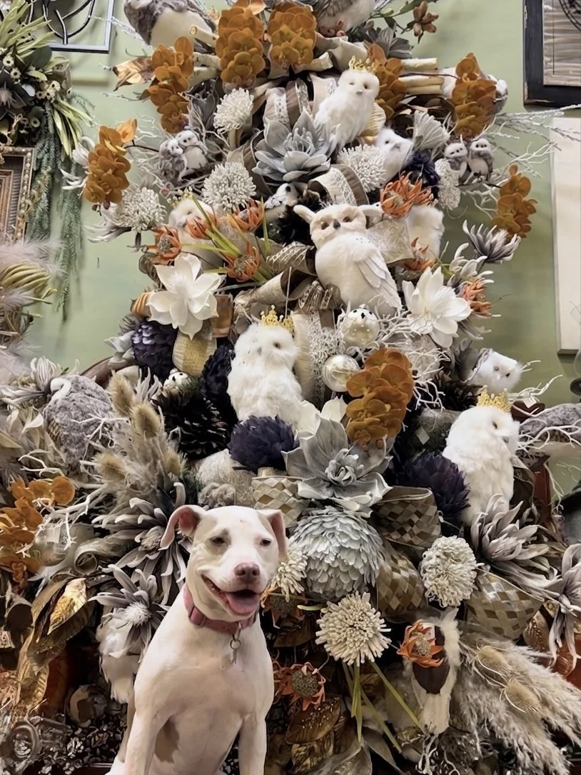 Woodland Christmas tree with snowy owls and dried botanicals, Daisy seated in front
