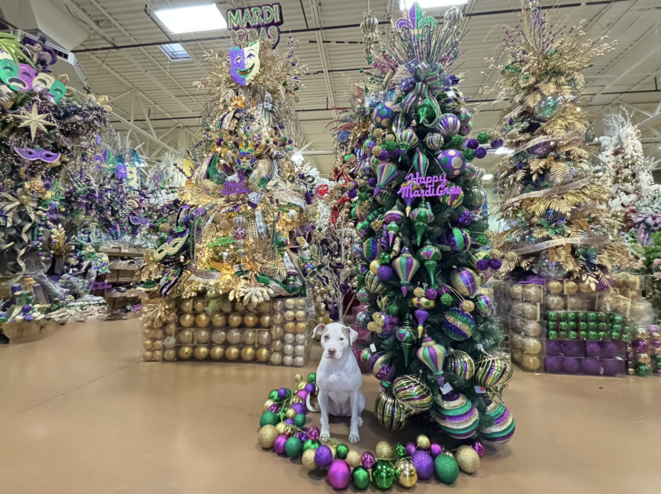 Decorated Mardi Gras tree with purple, gold, and green ornaments