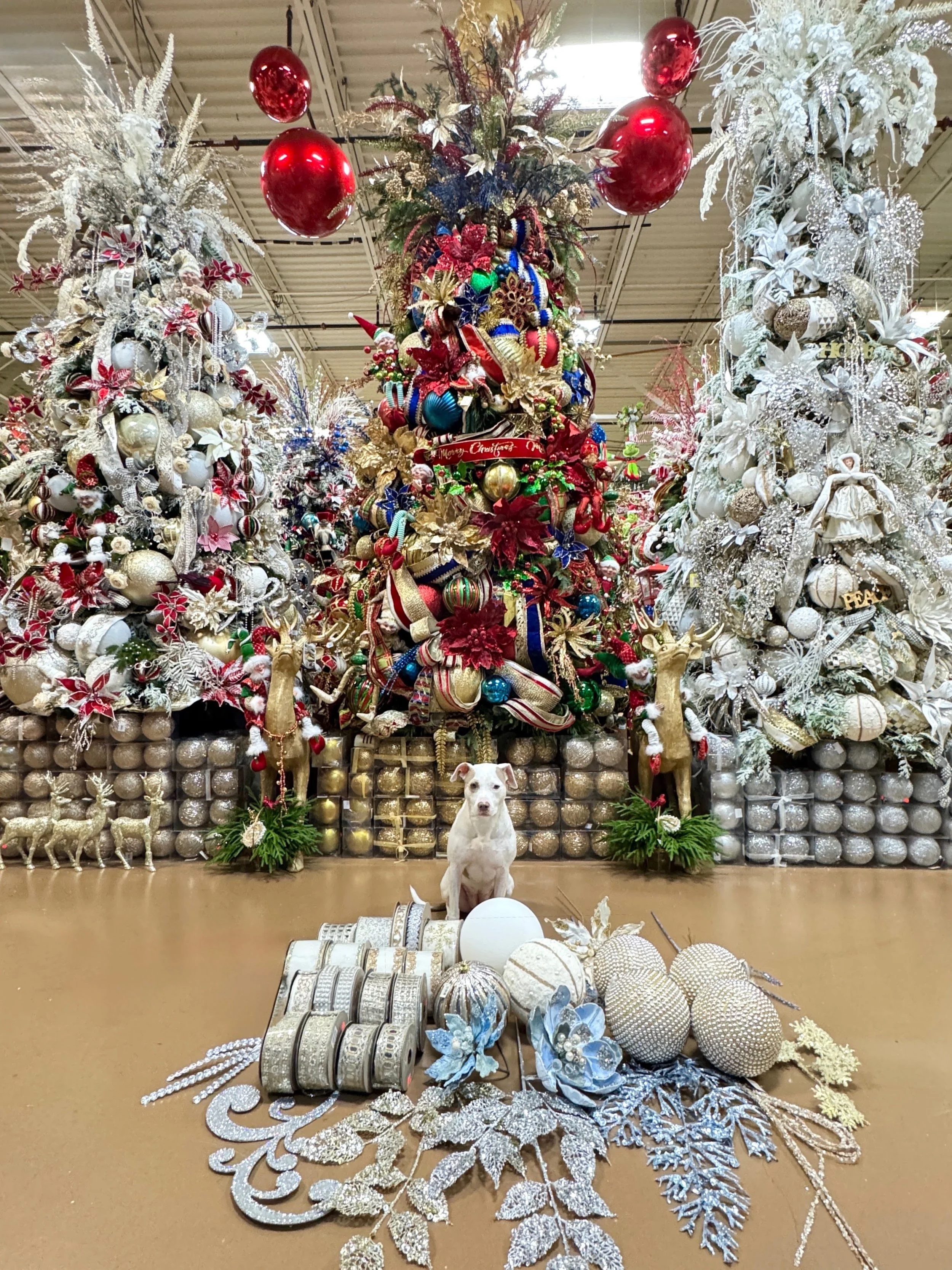 Three coordinated designer Christmas trees in the Arcadia showroom with Daisy the mascot seated in front