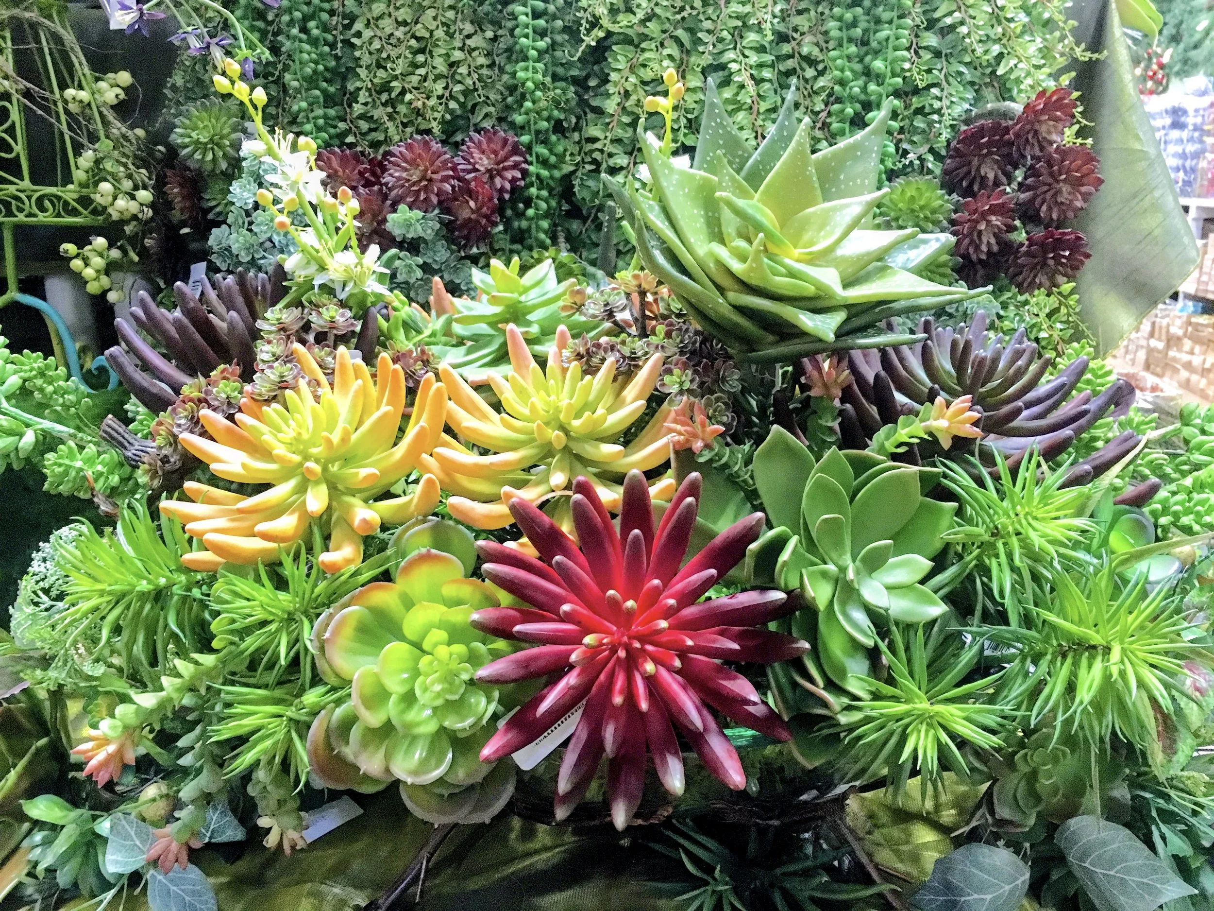 Artificial succulents in orange, green, and burgundy at the Arcadia showroom in Houston