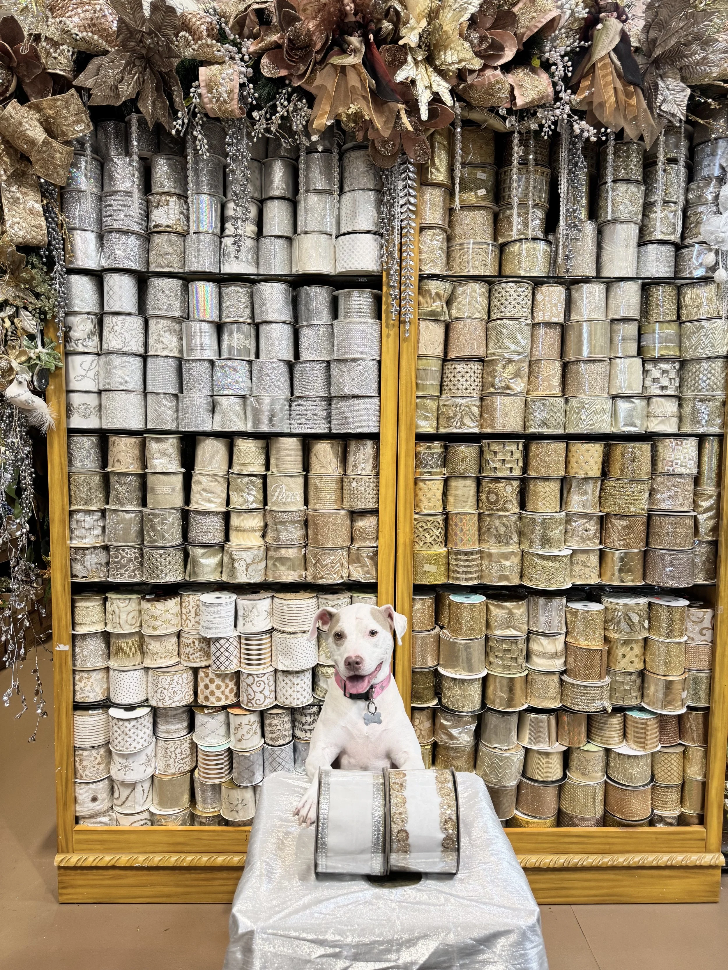 Floor-to-ceiling designer ribbon wall of gold and silver wired ribbon at Arcadia's Houston showroom