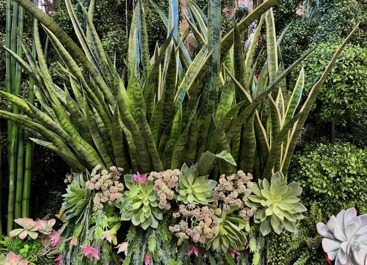 Artificial snake plants and succulents in the greenery collection at Arcadia Floral & Home Decor in Houston