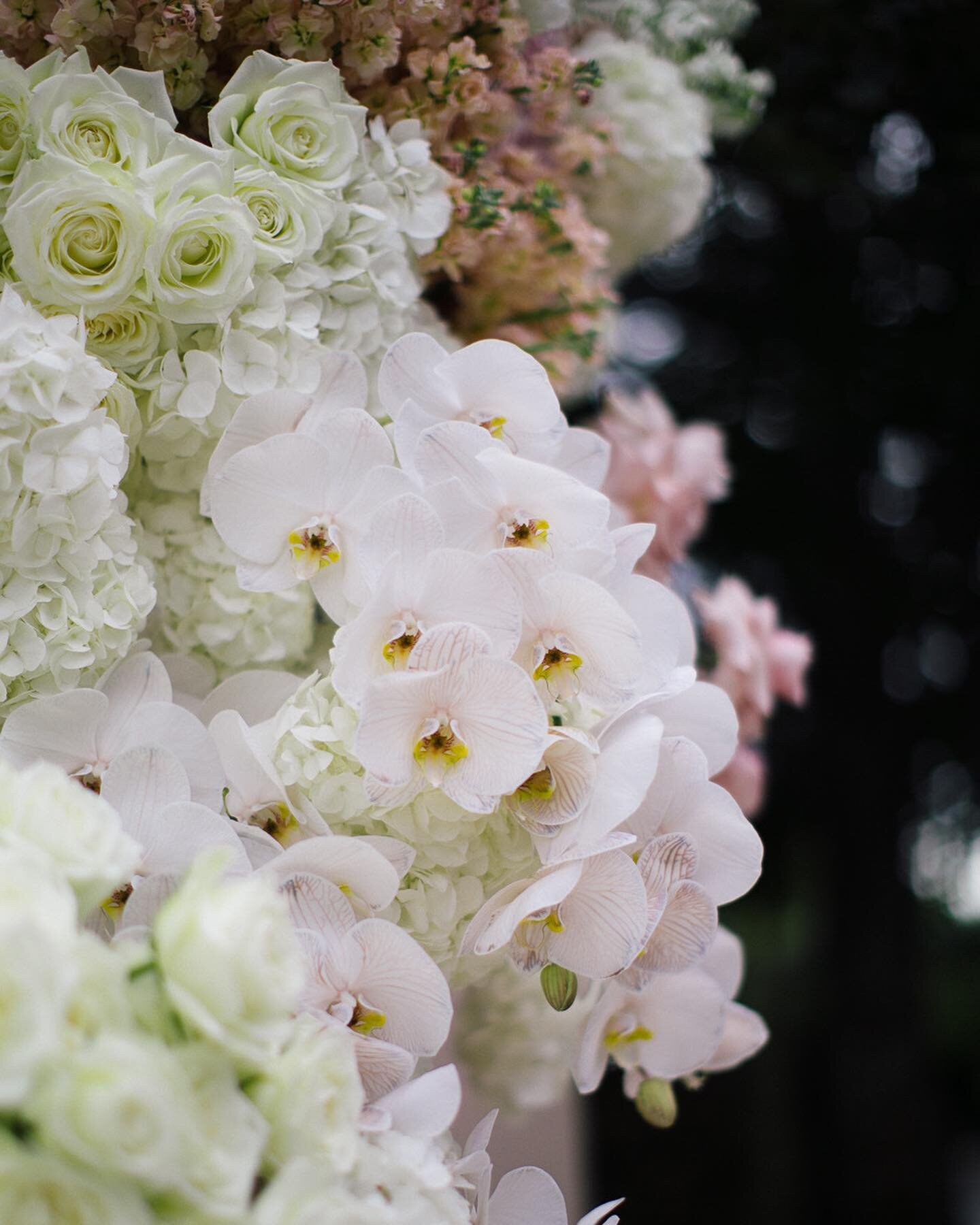 Cascading florals by @psfloral / @psiloveyoueventsnz 🖤

#weddingflorals #weddingstyle #skyecarterphotography