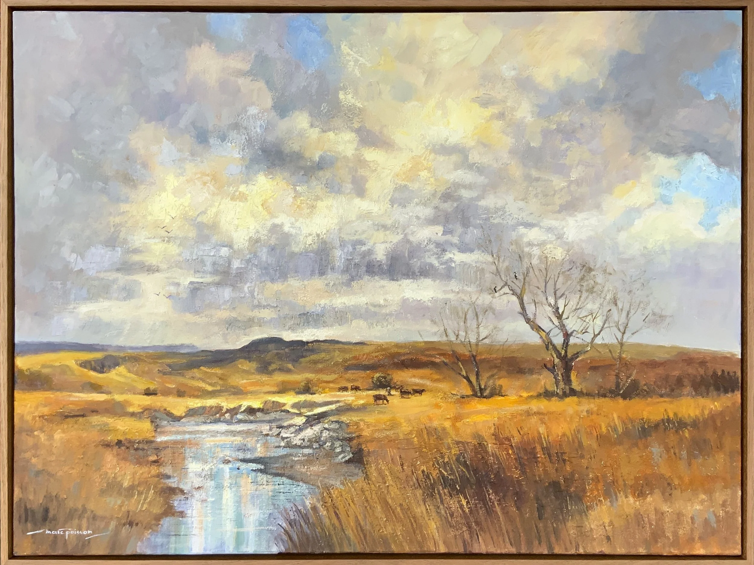 1194 Country Glow.JPG