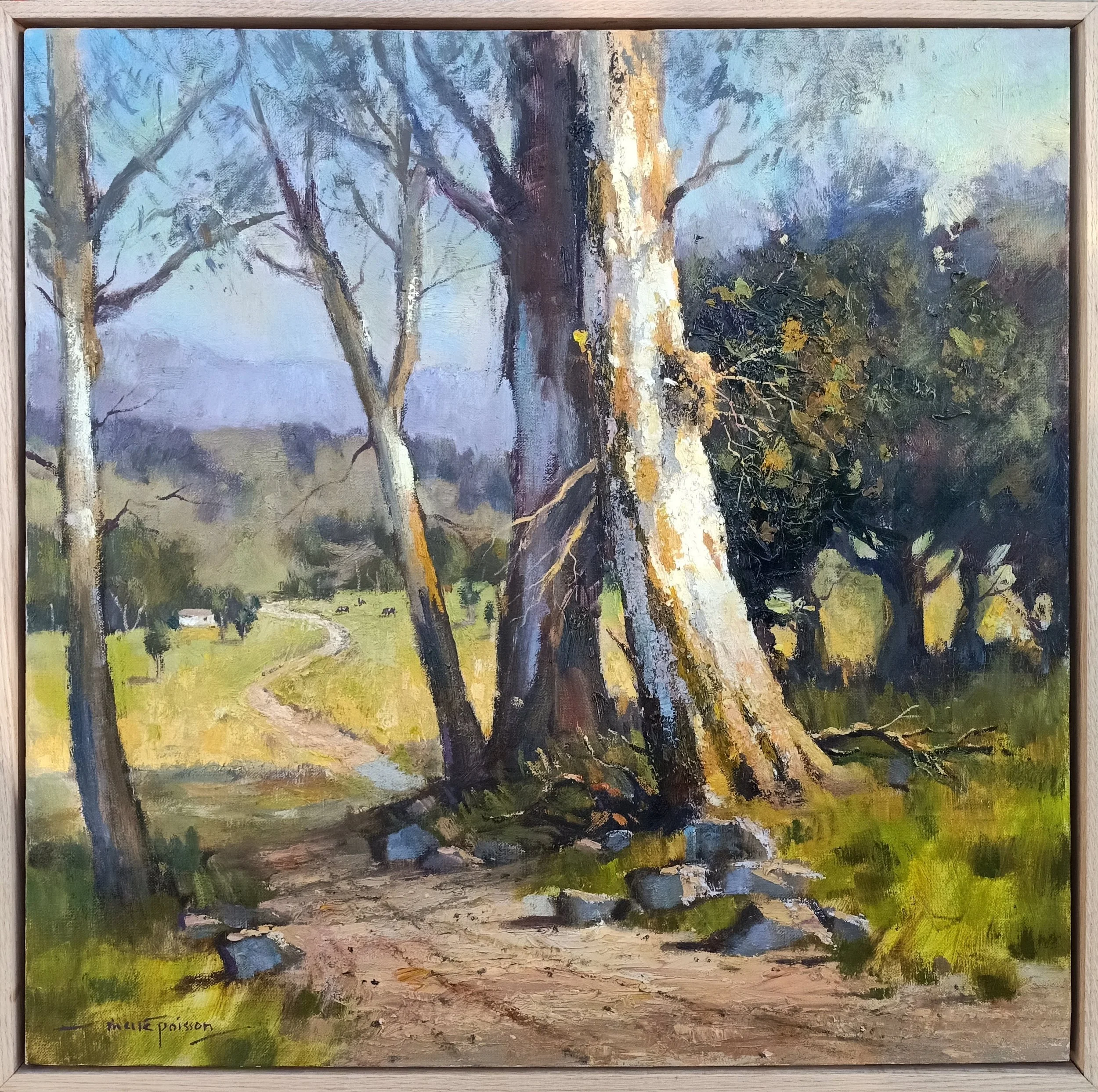 1218.1 61x61 Valey Gums.jpg