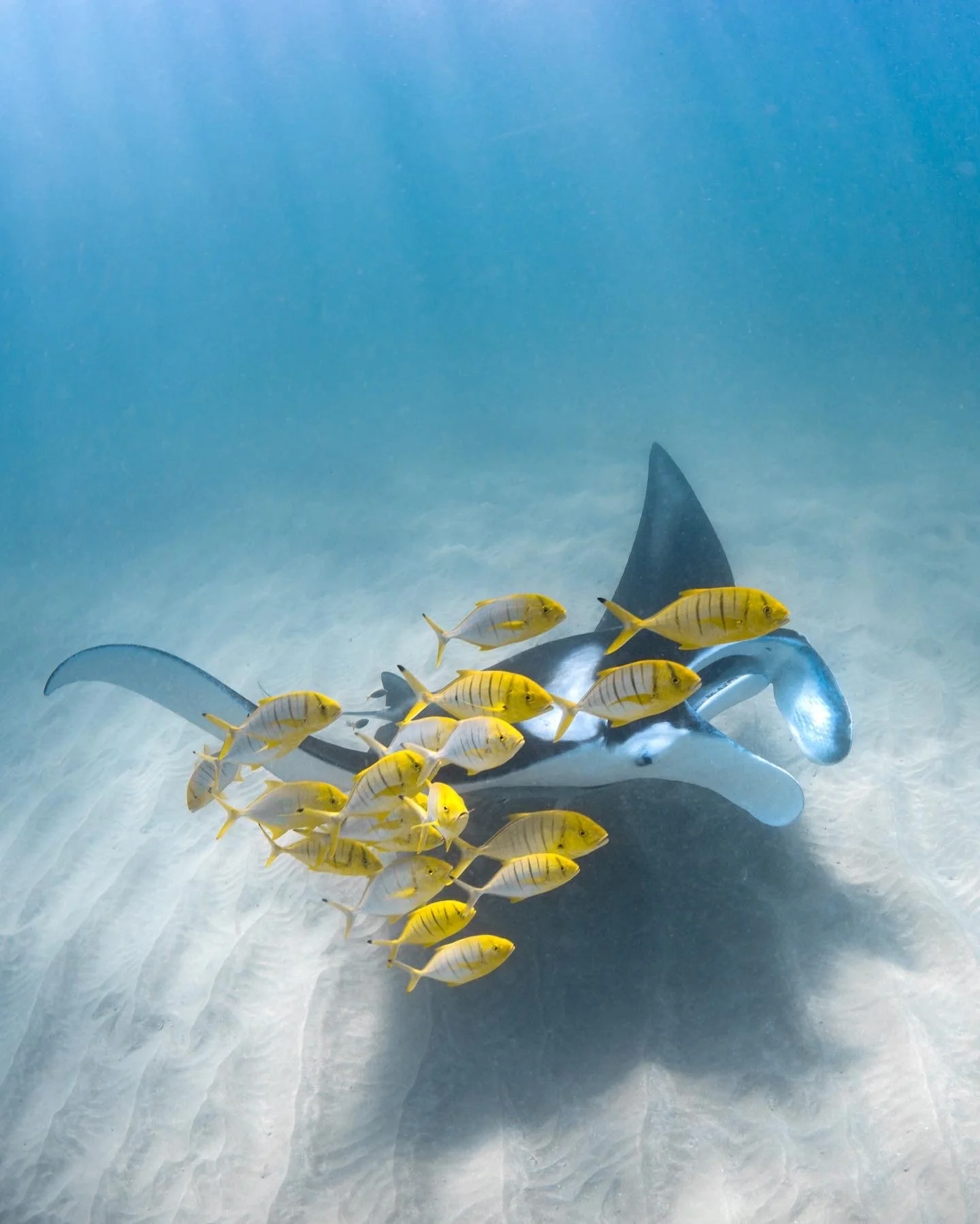 Emma Hanney Photography