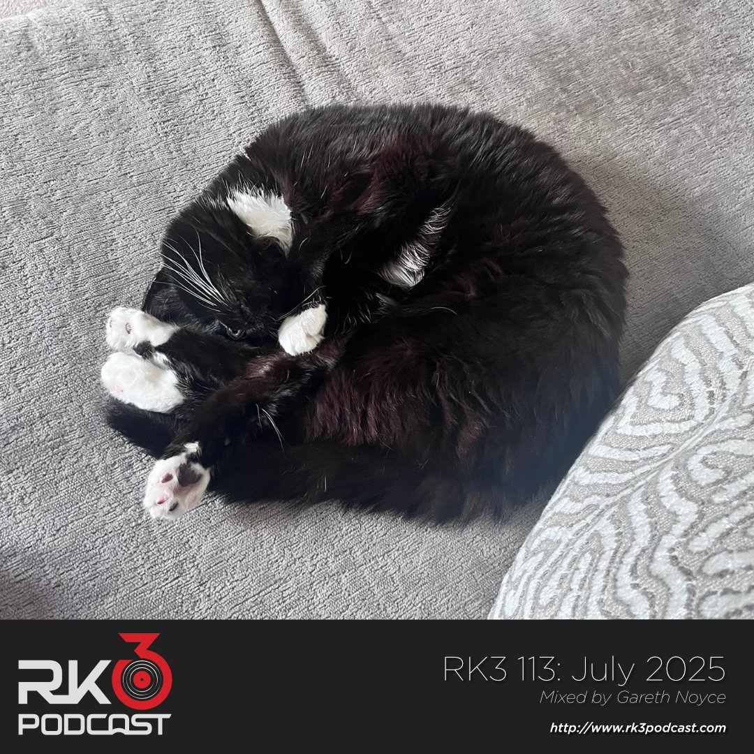 RK3 113: July 2025