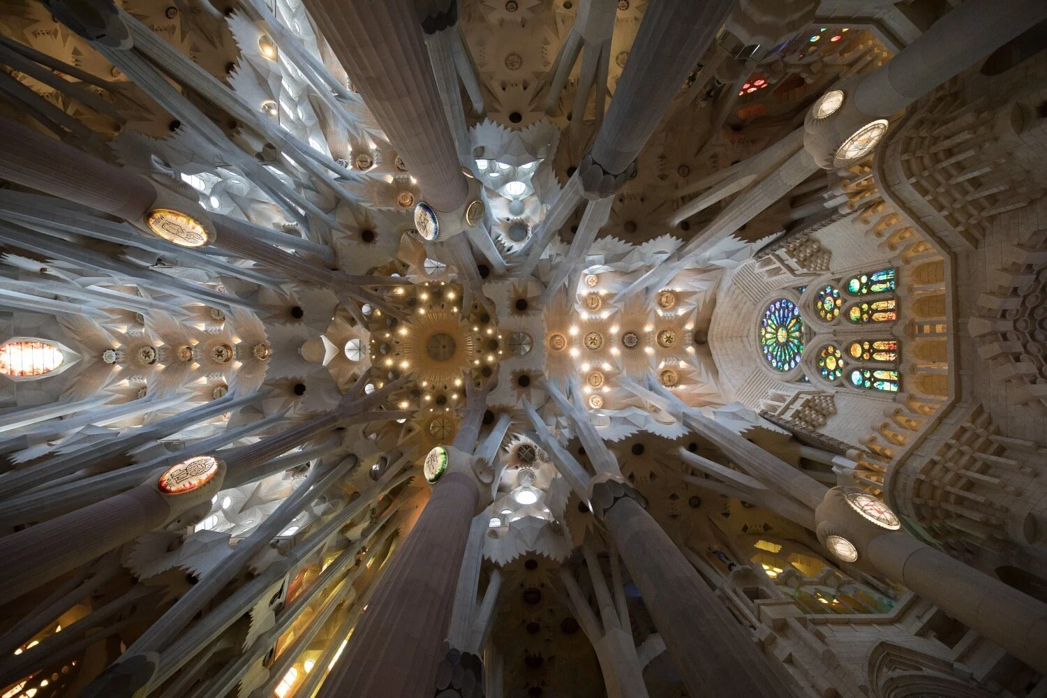 SF1500_SS.jpg