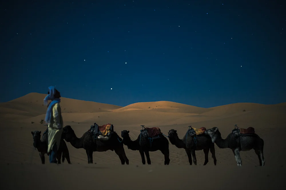 Desert Caravan