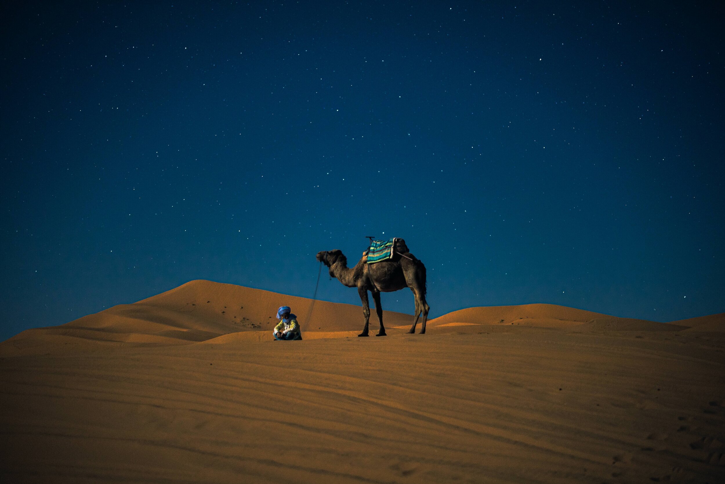 Journey into the Sahara — momothexplorer