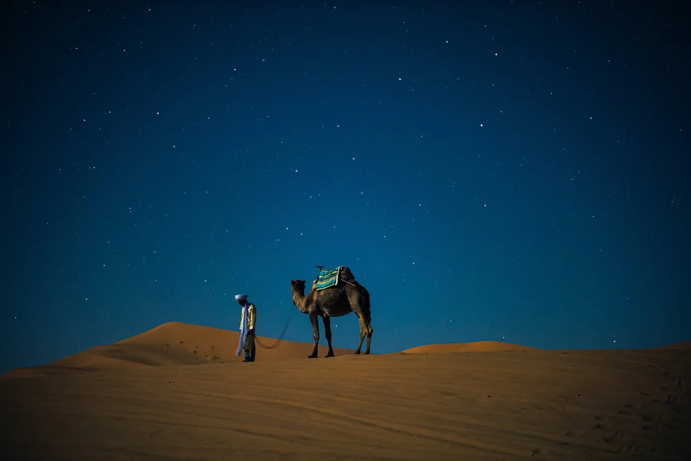 Journey into the Sahara