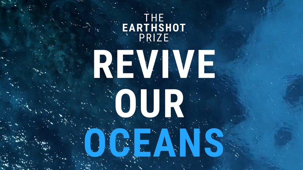 How can we Revive Our Oceans? 🌊 | The Earthshot Prize 2022 Finalists