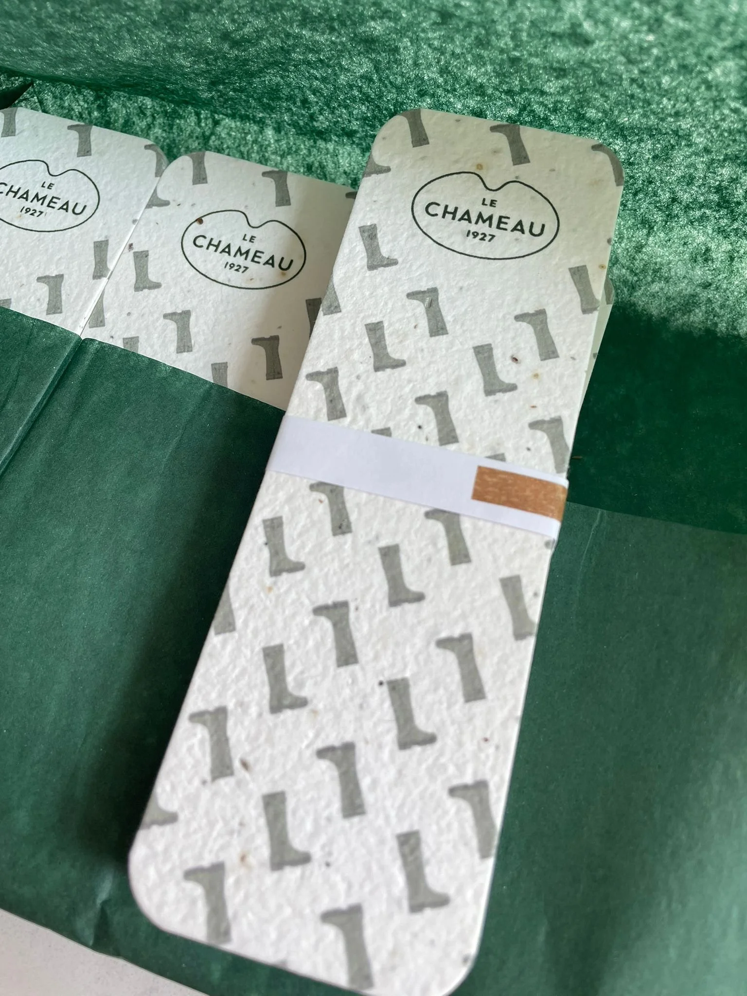 WhatsApp Image 2025-07-18 at 2.28.43 pm.jpeg