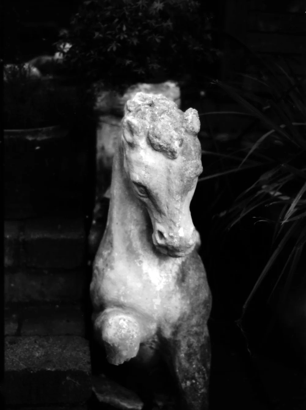 35mm SLOW photo film black and white ISO — KONO Manufaktur®