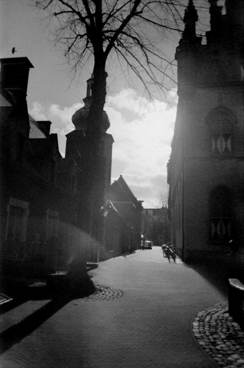 CINIS 400 Sample 002.png