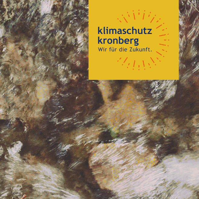 Kronberg-GIF-1.gif