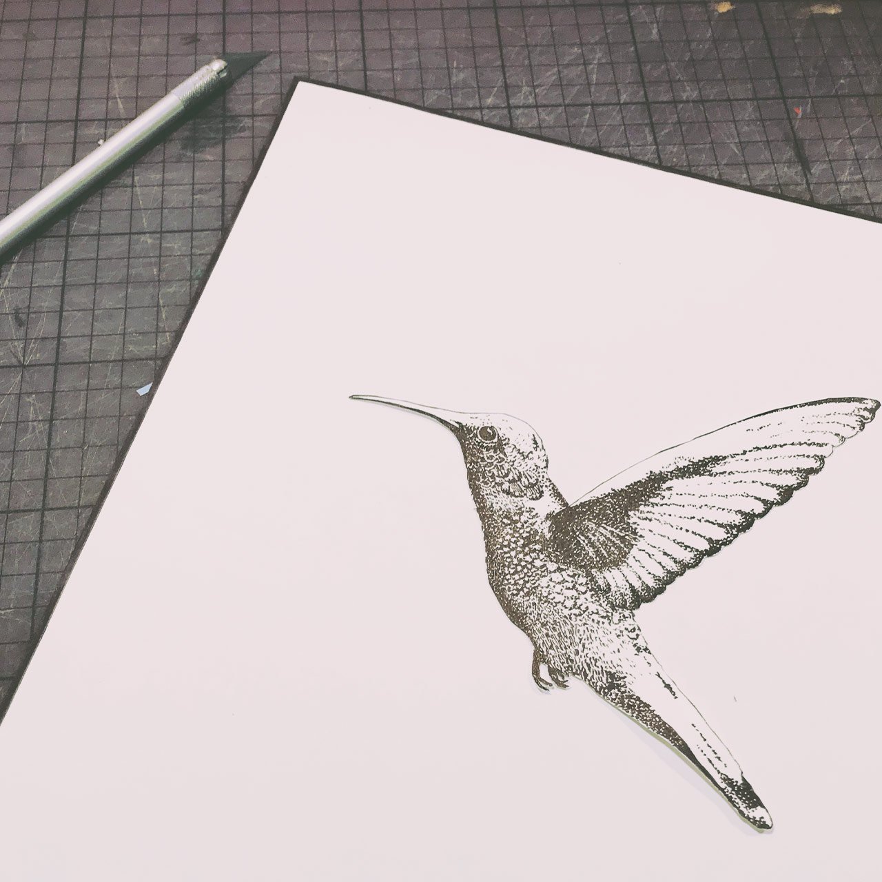 Kolibri-Zeichnung-Helene-Uhl-Illustration-Naturdeisgn.jpg