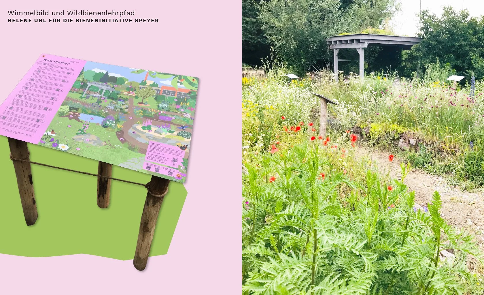 Illustration eines Wimmelbildes zum Thema Naturgarten mit Fokus auf Artenvielfalt