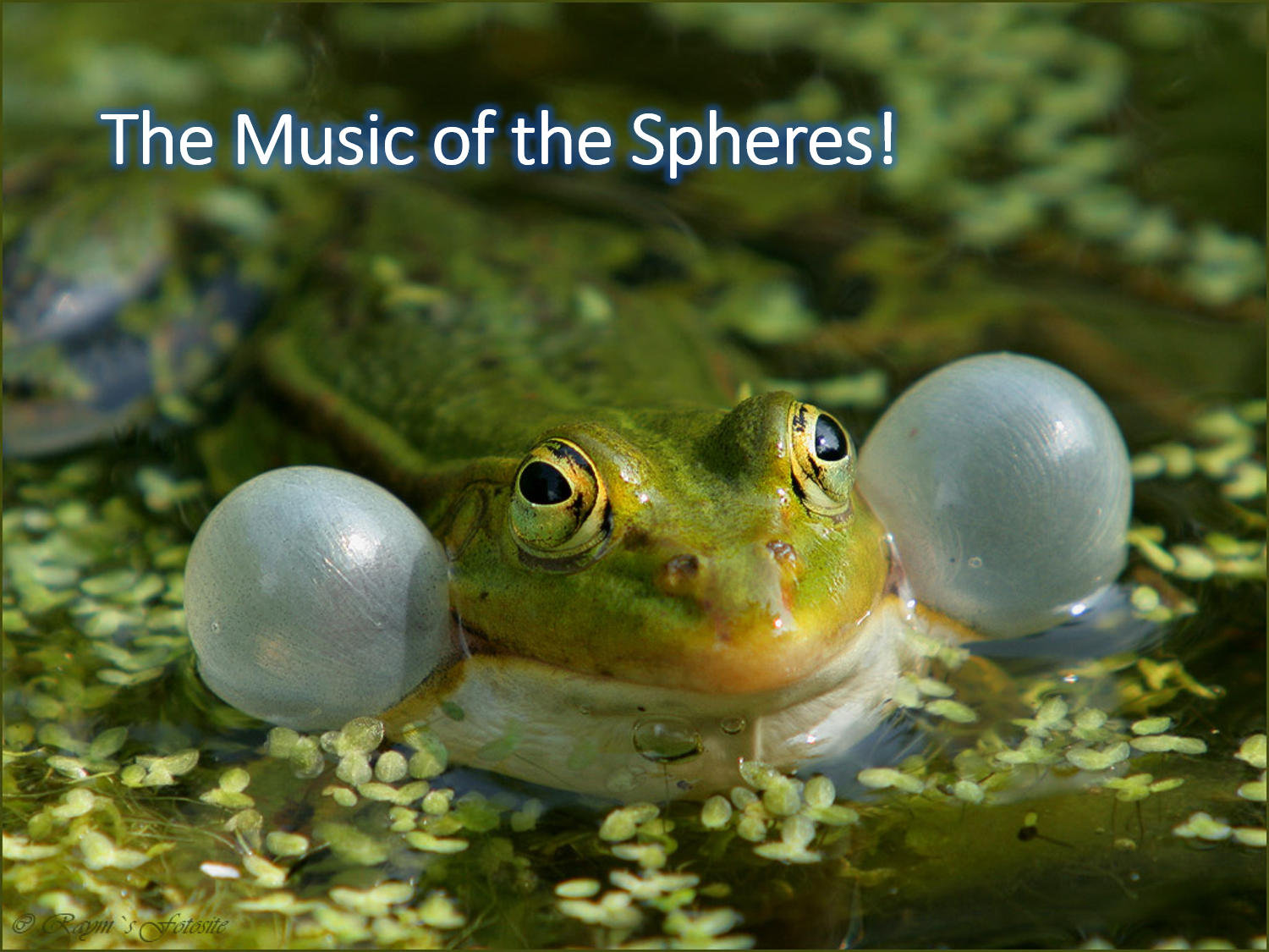 The Music of the Spheres.png