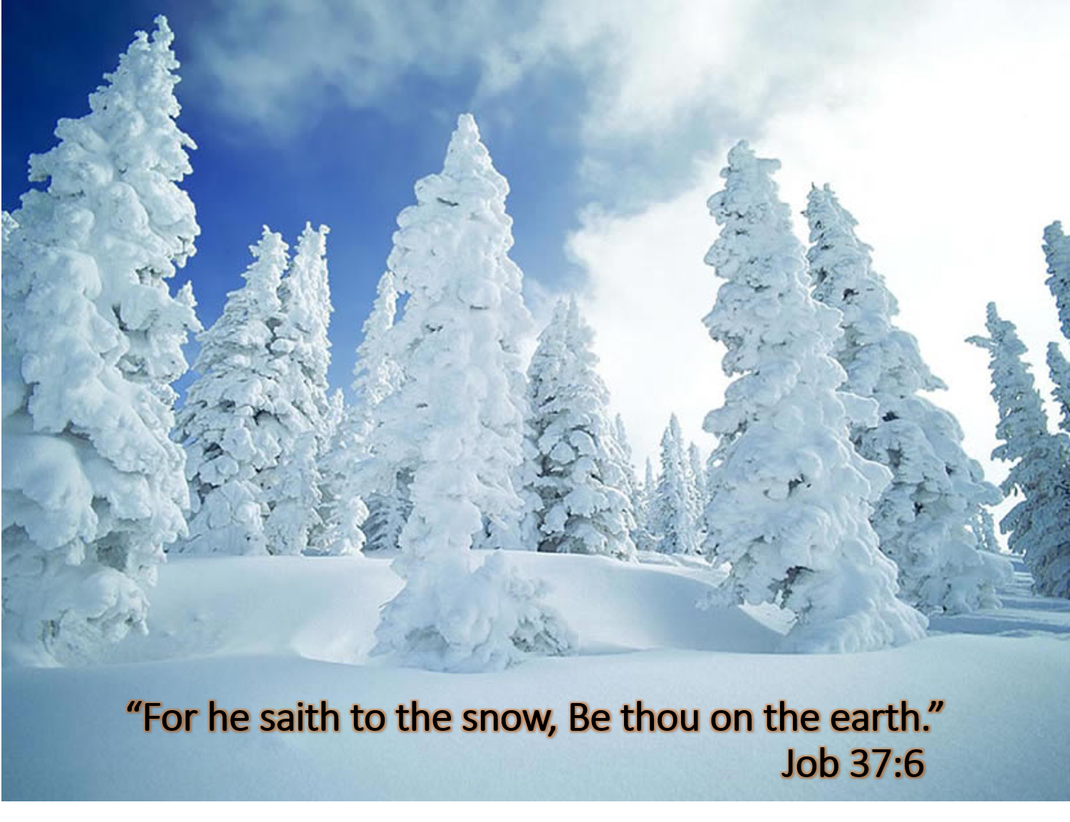 He Saith to the Snow.png