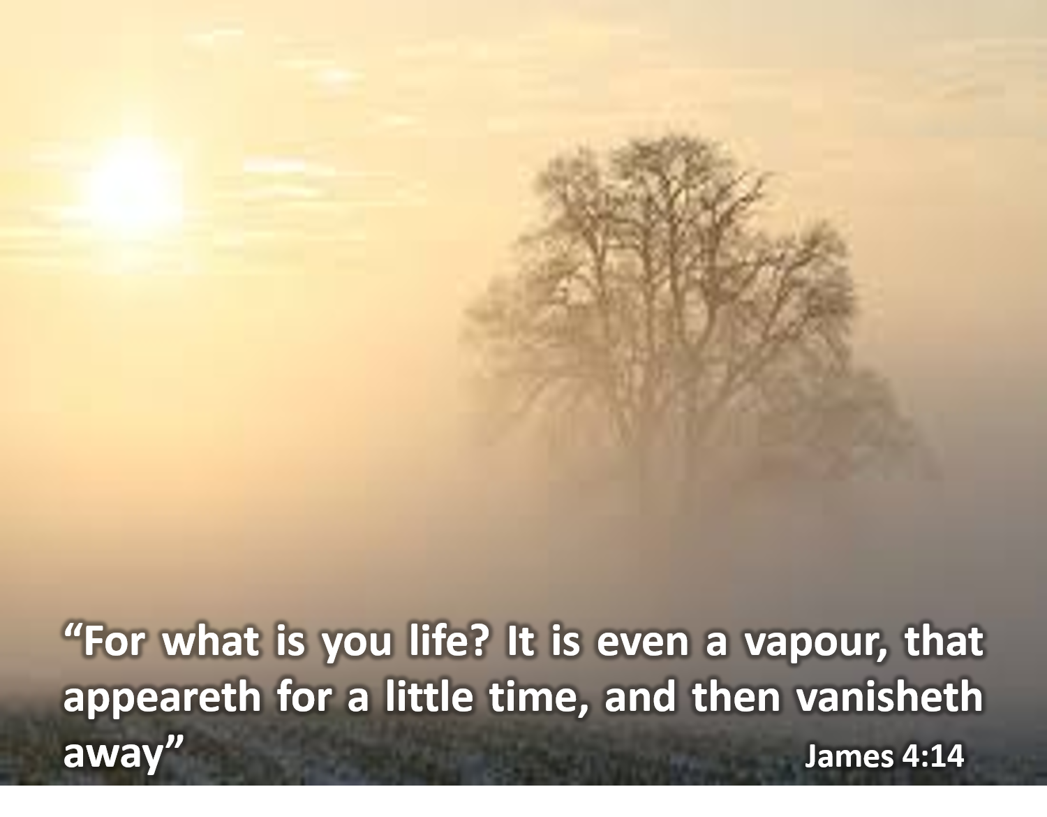 Life is a Vapour.png