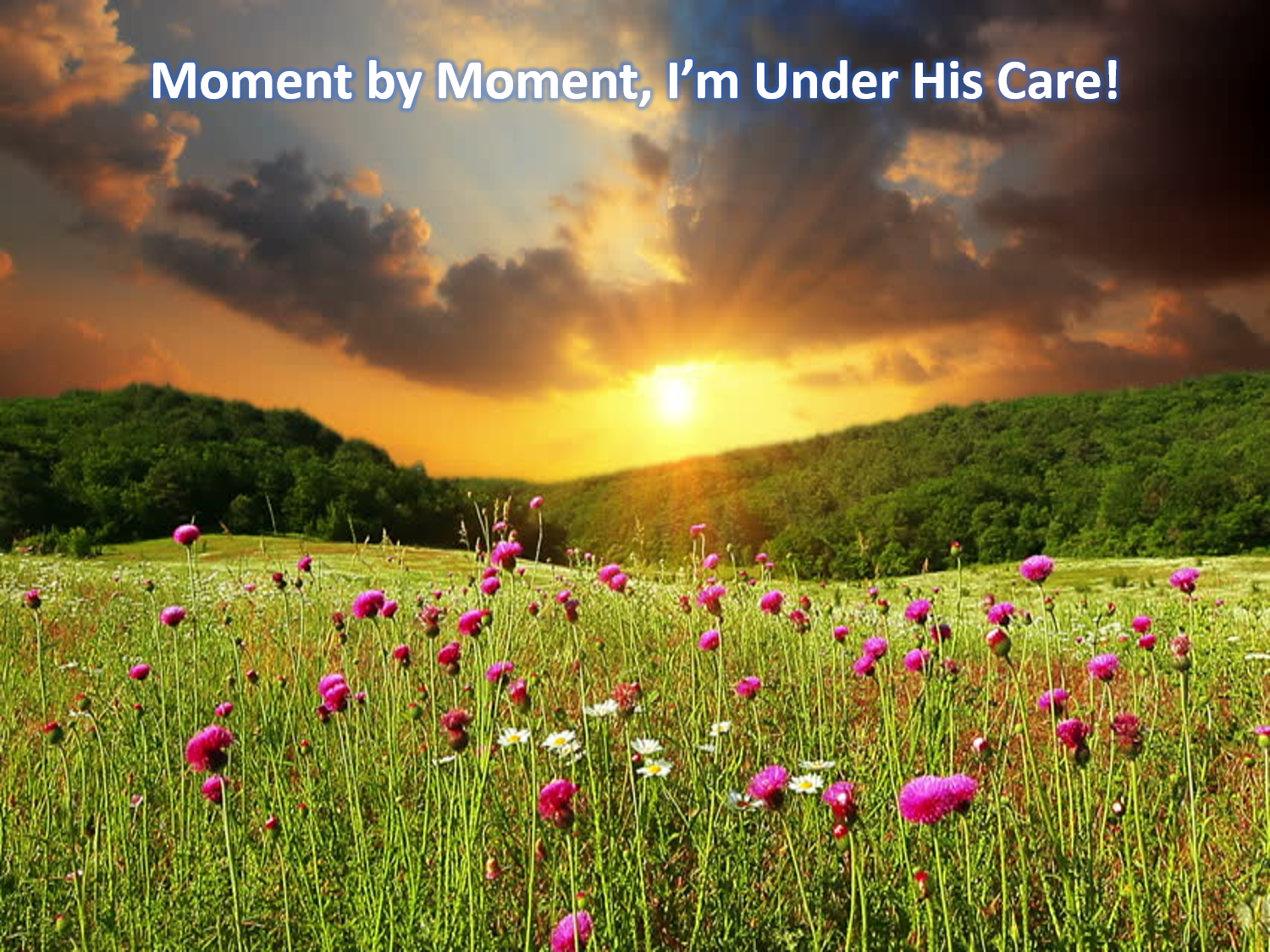 Moment By Moment.png
