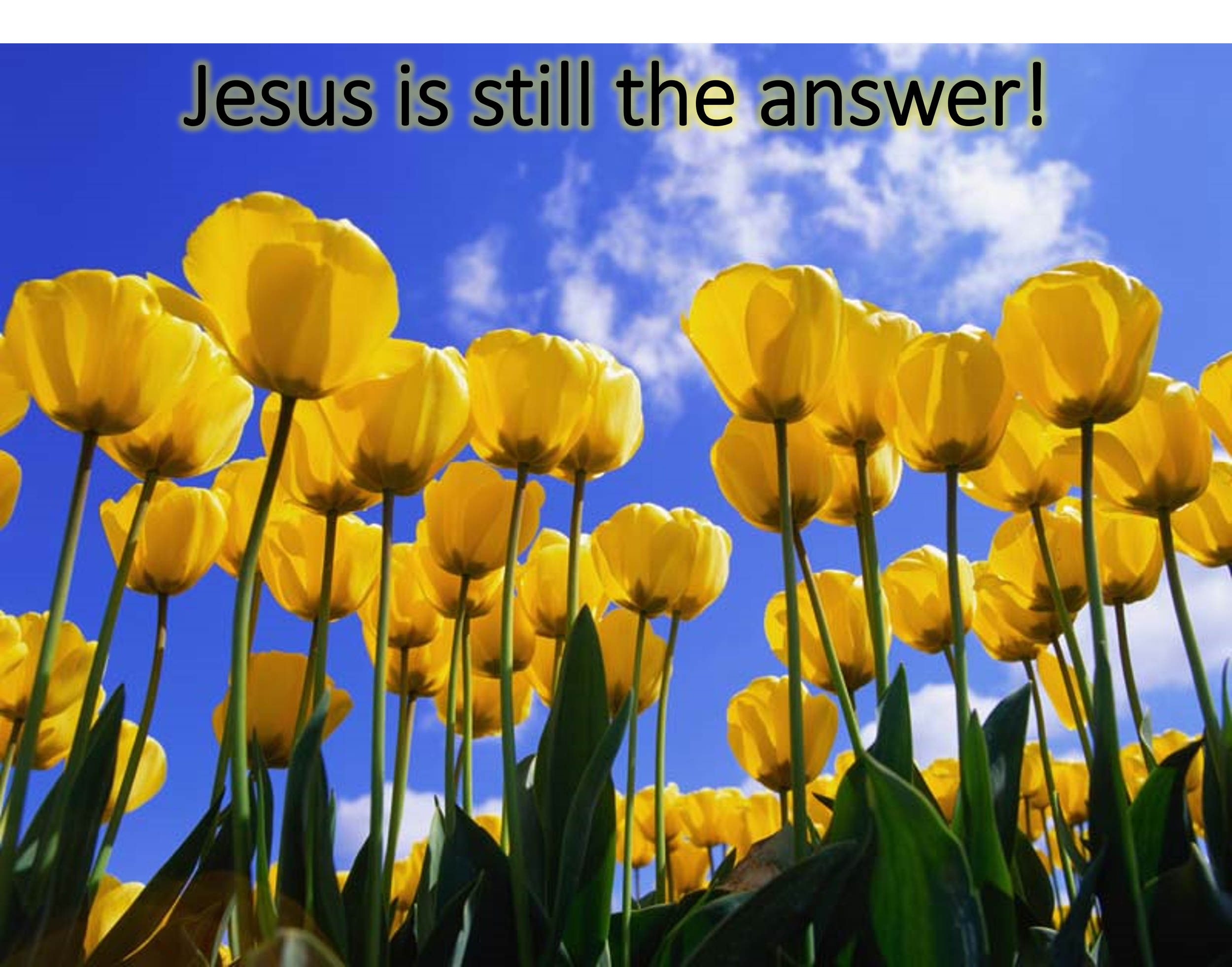 Jesus Is Still the Answer.png