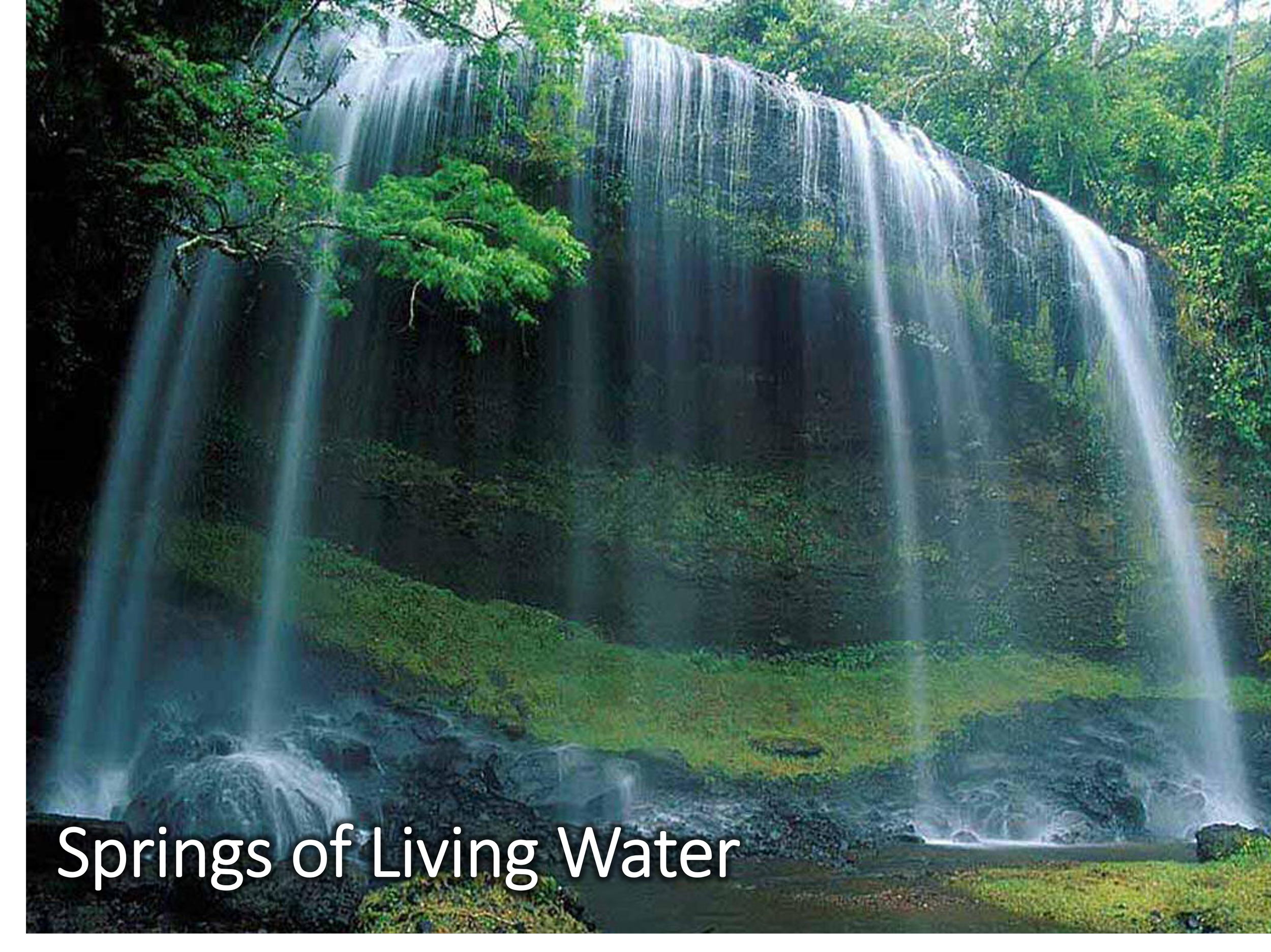 Springs of Living Water.png