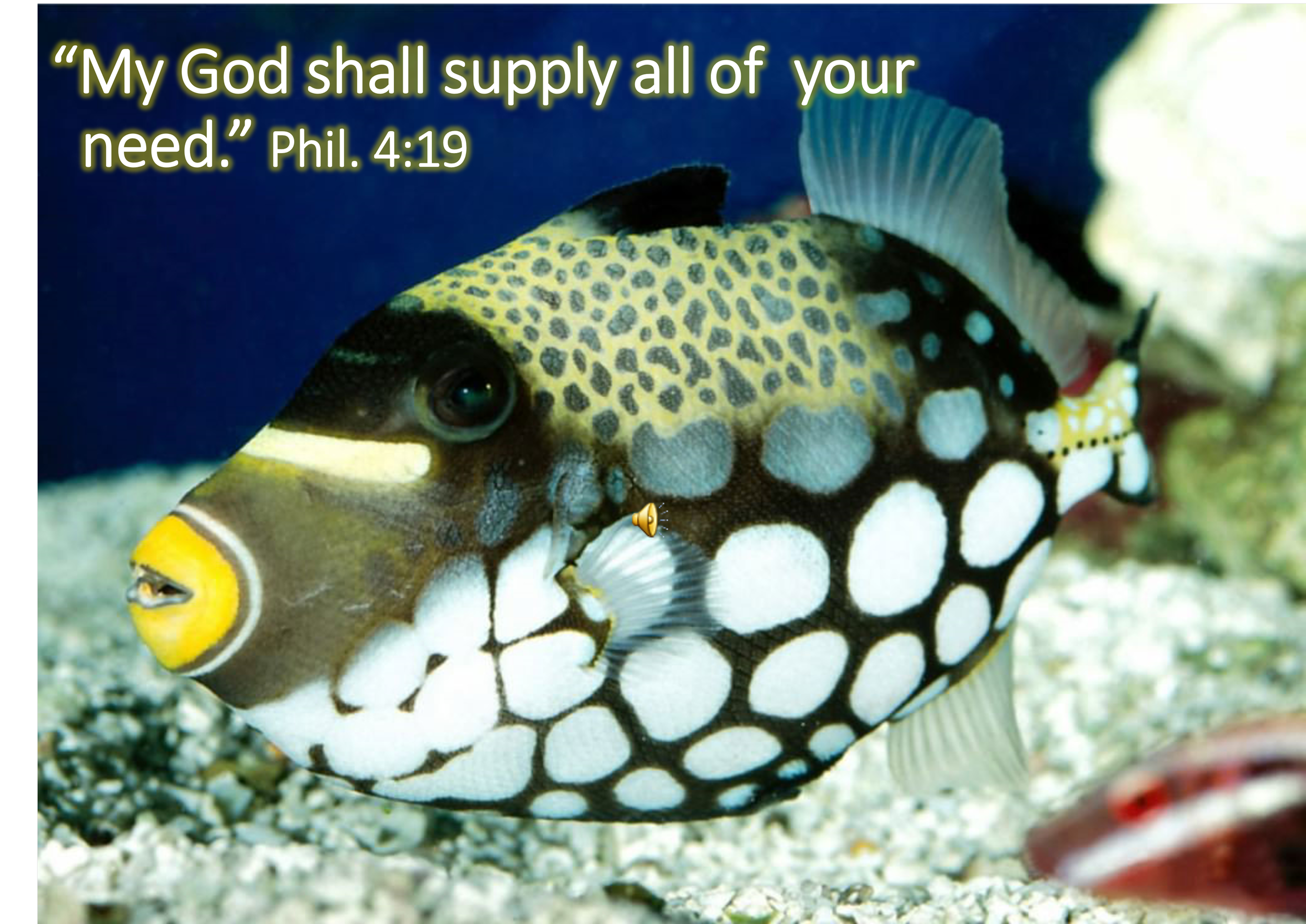 My God Supply All Your Need.png
