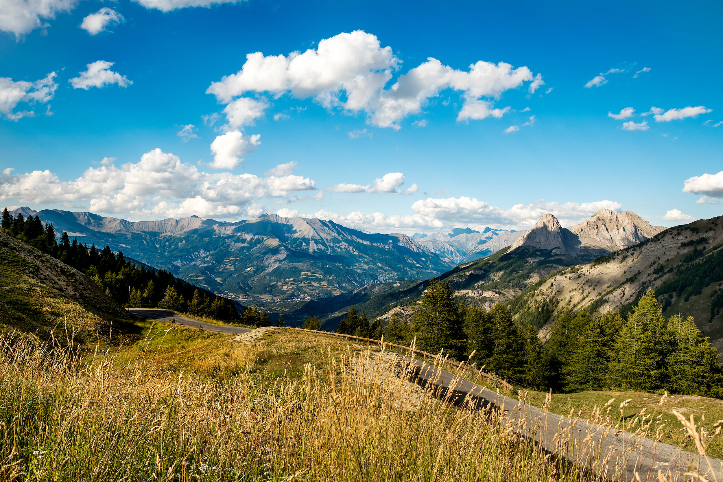 JD-ALLOS-07.jpg