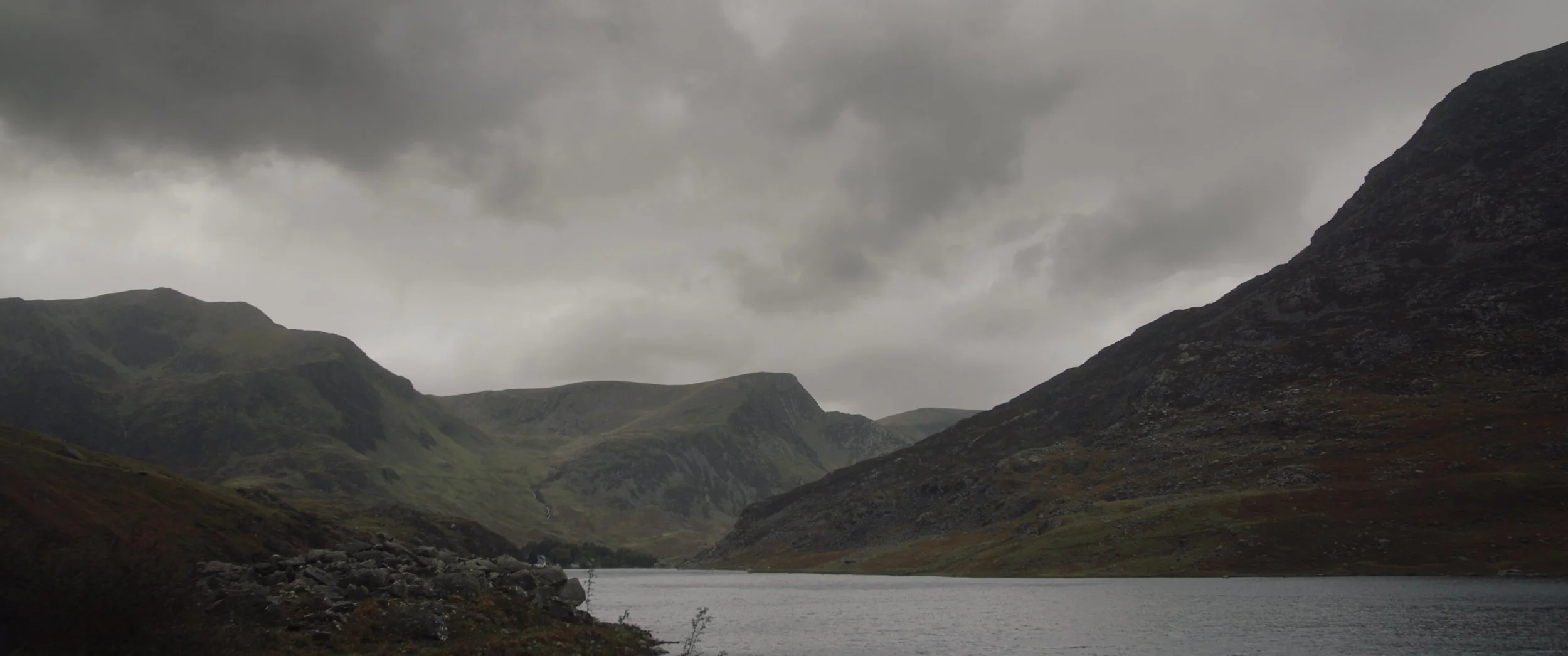 WALES SELECTS_0007_Layer 1.jpg