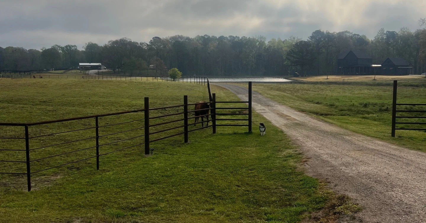SATURDAY QUESTION 🤔

What's the ONE project on your property you've been putting off?

New fence? Gate repair? Barn addition? Lake house handrails? That trailer floor you've been avoiding? A bridge over that creek crossing you're tired of getting st
