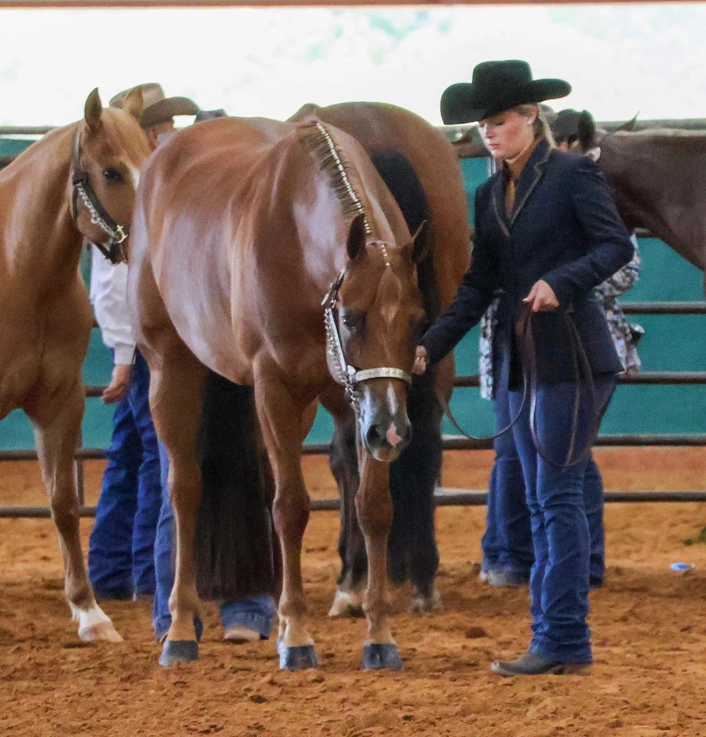HAULING HORSES THIS SUMMER? Check your trailer first. 🐴

5 things to inspect before you hook up:
1️⃣ Walk the floor - soft spots mean rot
2️⃣ Check every latch and hinge
3️⃣ Look at the frame for rust or cracking welds
4️⃣ Test all lights and brake 