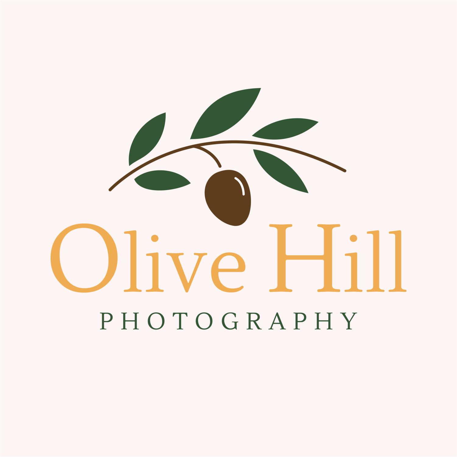 Olive Hill Photography