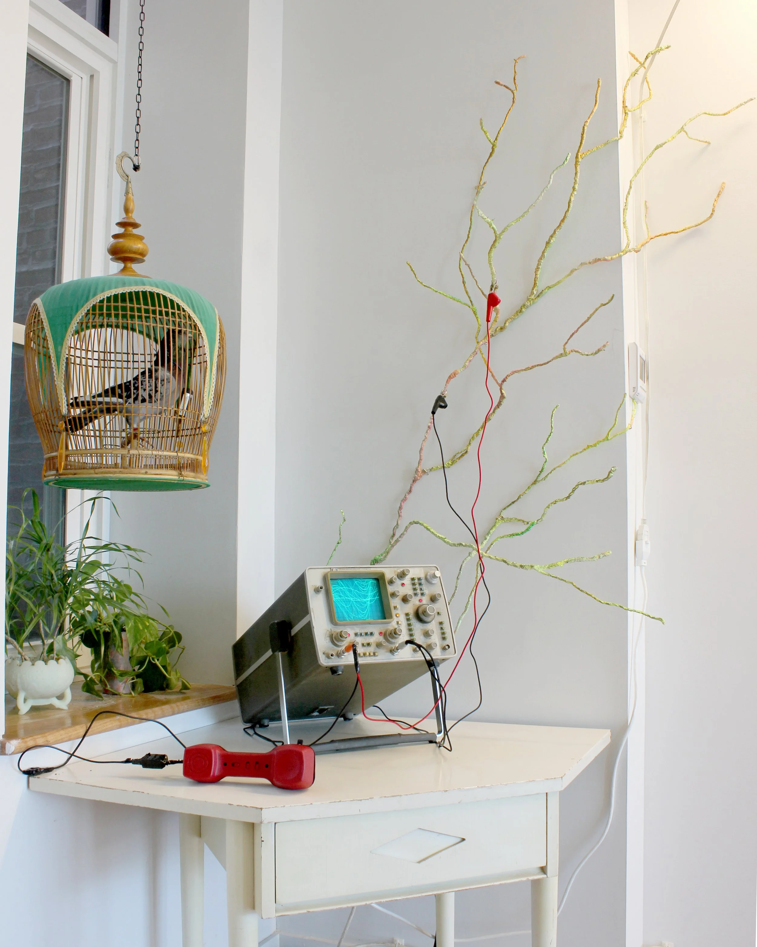  I fabricated some fluorescent mycelium branches for Jay Roselius' solo show "this is where i post from," exhibited at  Space 1026  in Philadelphia in January 2023. The pieces are made out of wire, yarn, plaster, glue, and paint. They represent a liv