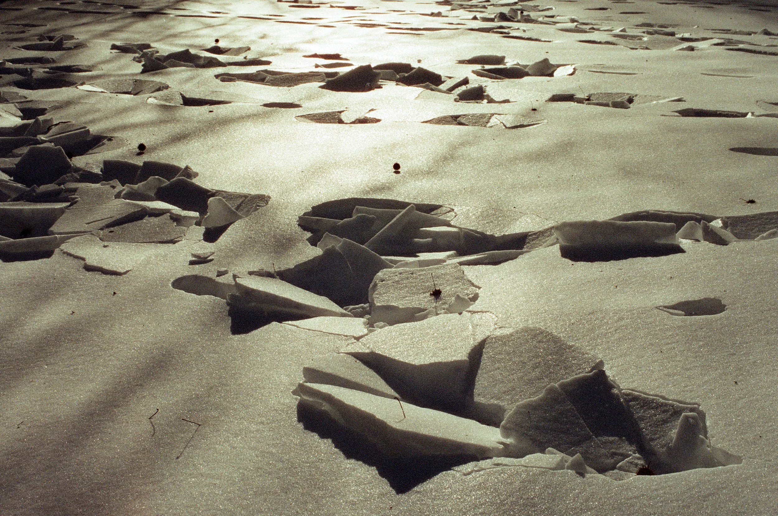 51190014-edit.jpg