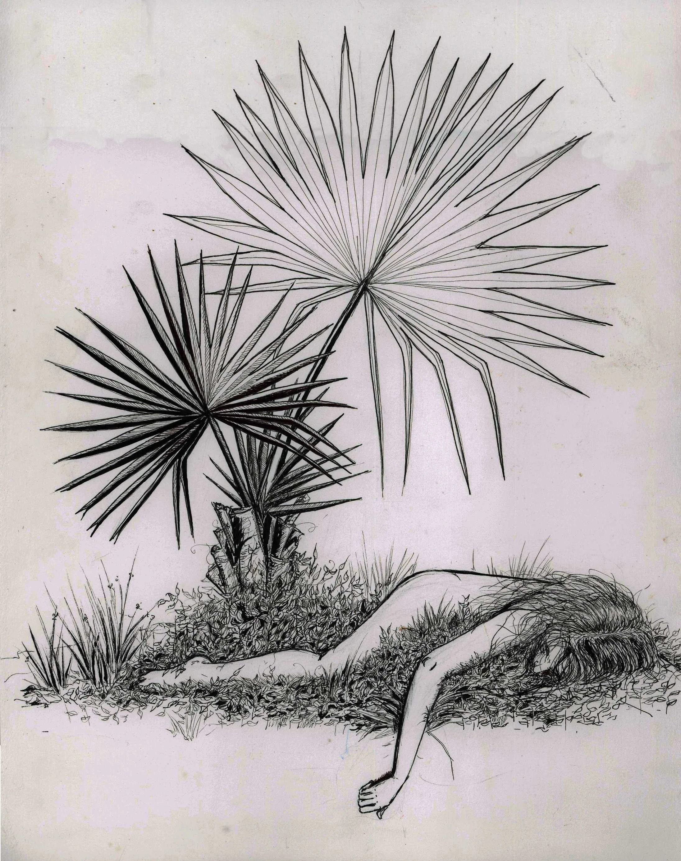 woman in grass.jpg