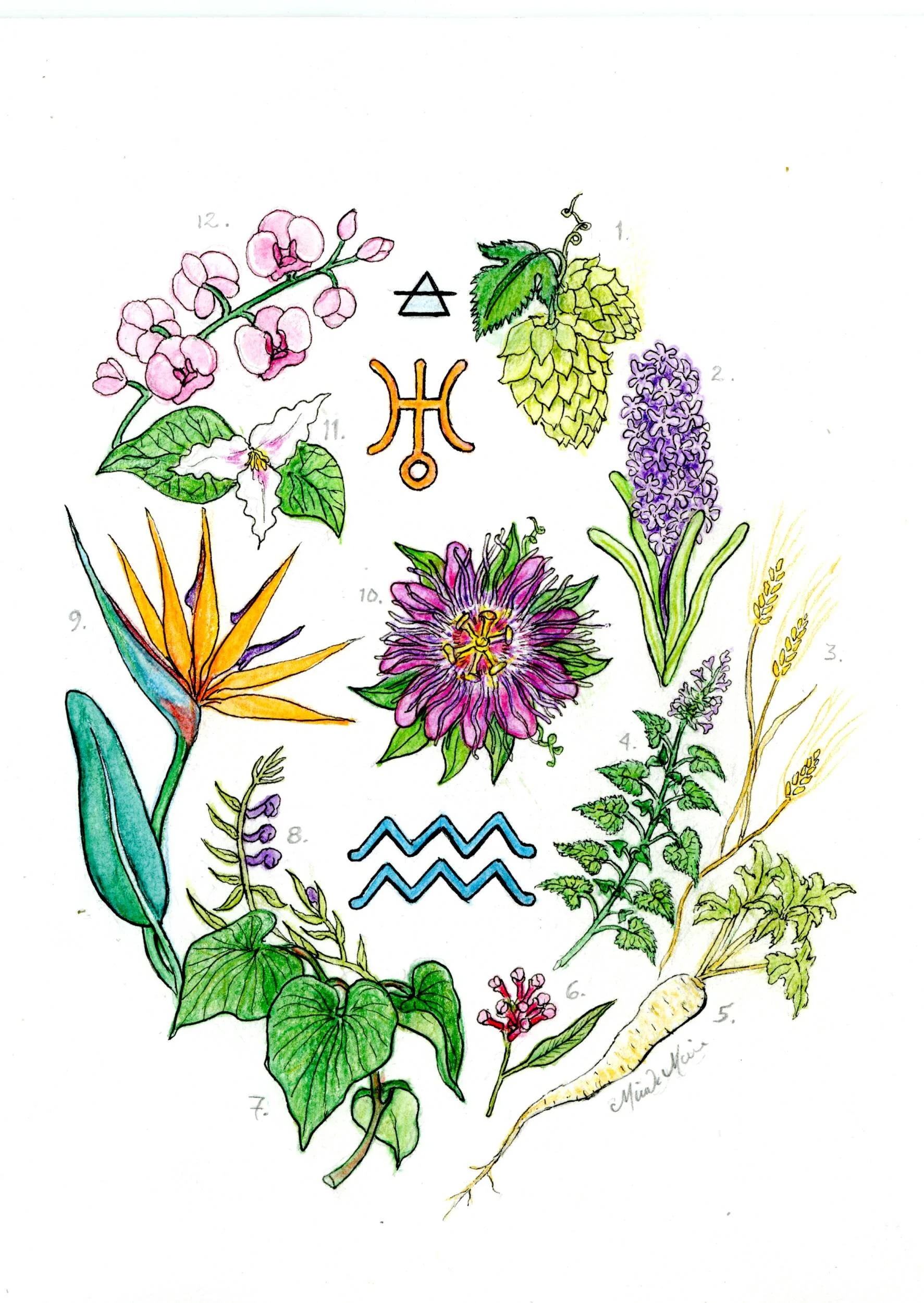  Aquarius 