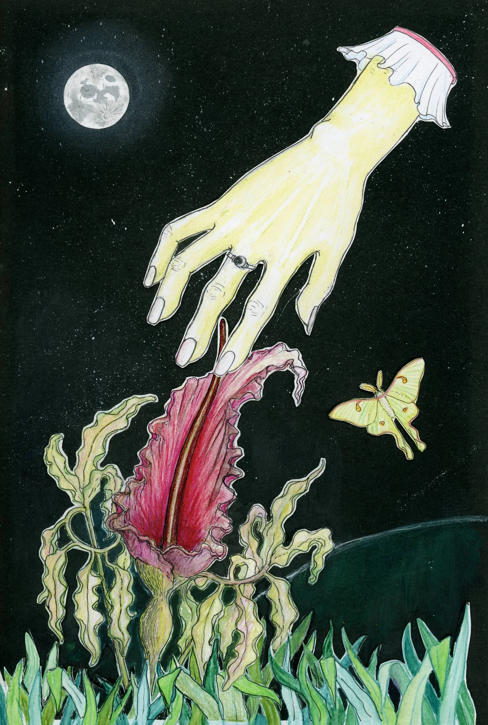 hand with voodoo lily 2