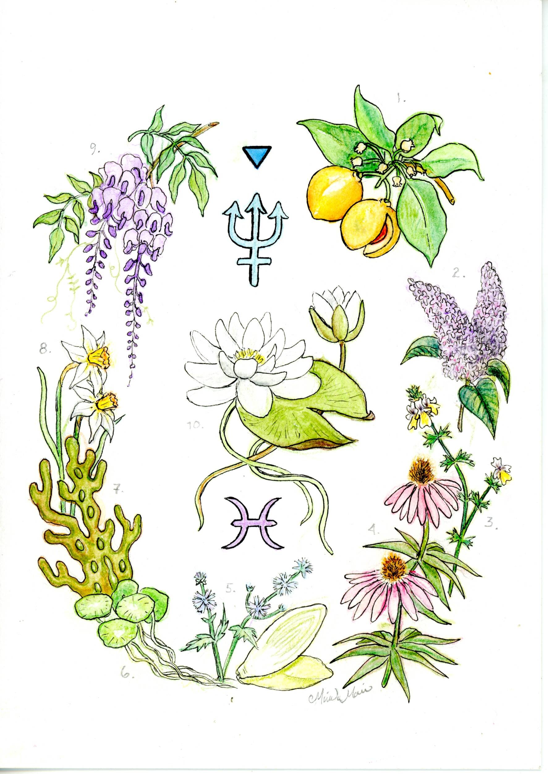 Pisces