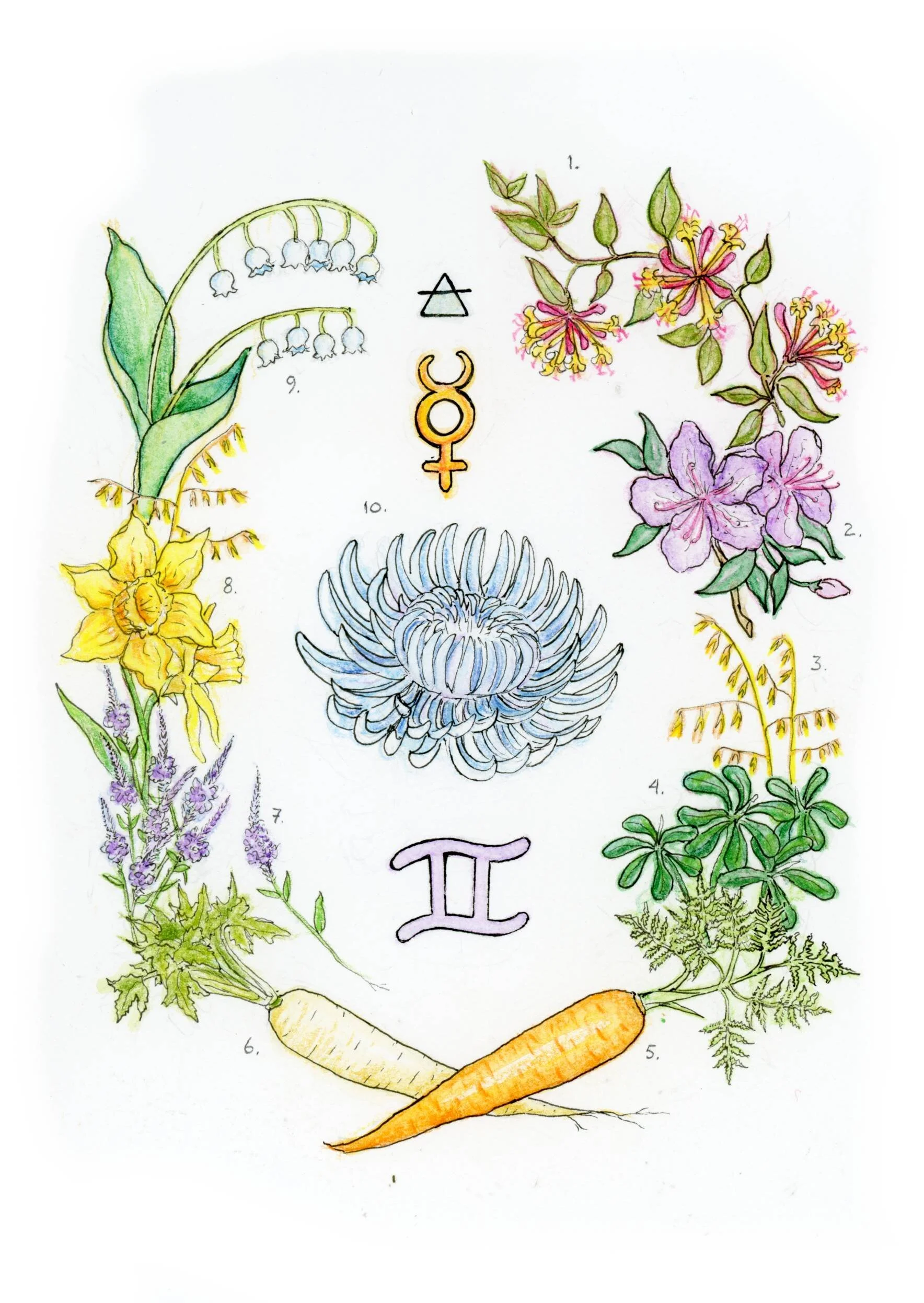 Gemini