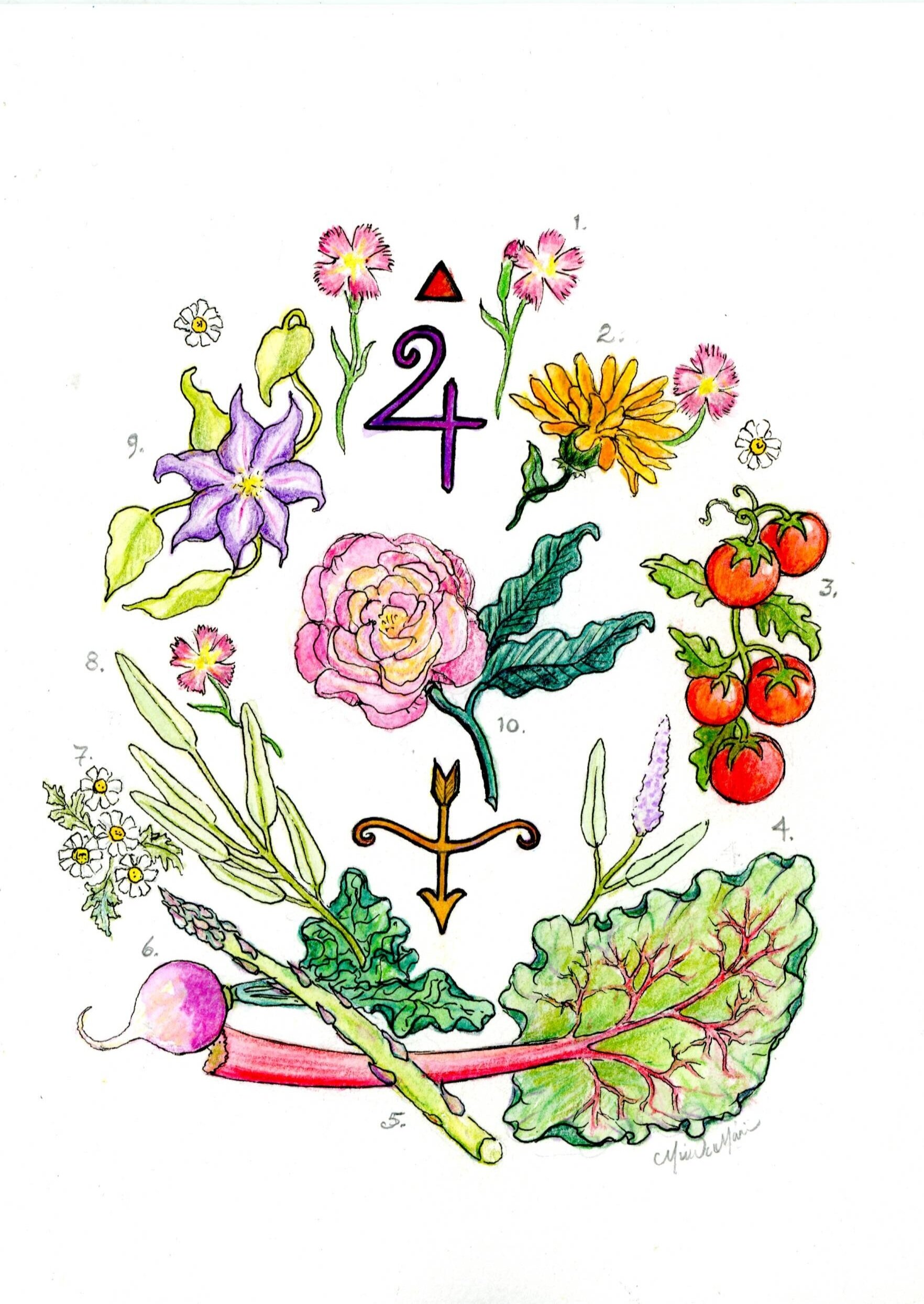 Sagittarius