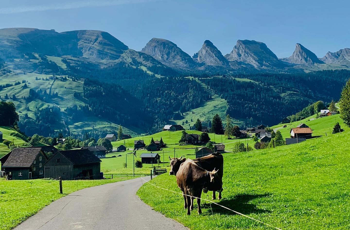 Wanderferien im Toggenburg. 
Jetzt buchen, schwendilodge.ch

#toggenburg #schwendilodge #toggenburgtourismus #wirsindf&uuml;reuchda #wanderliebe🏔💗